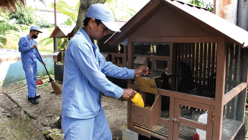 〈インドネシア〉生物多様性に重点を置いた動植物の保全