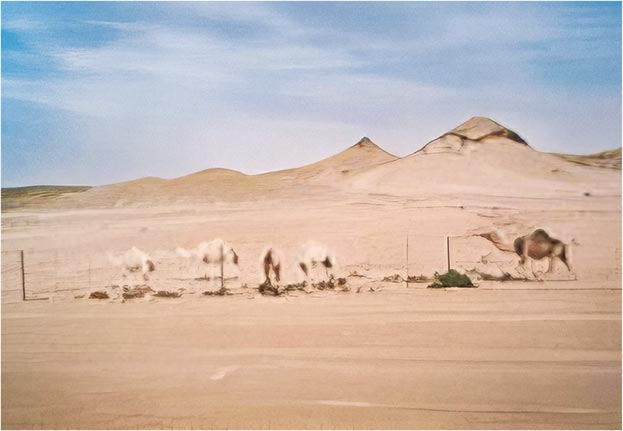 安全のために、砂漠でのトラブル防止は重要課題であった