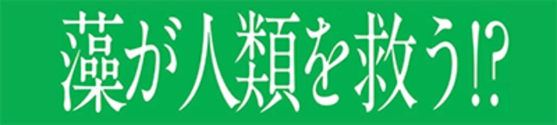 Hondaの「藻」の可能性に迫る