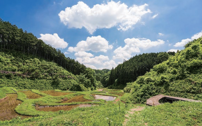モビリティリゾートもてぎ 棚田