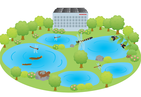 絶滅危惧種が生息するビオトープ