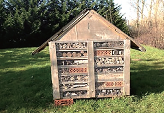 Hondaベルギー生物多様性の保全