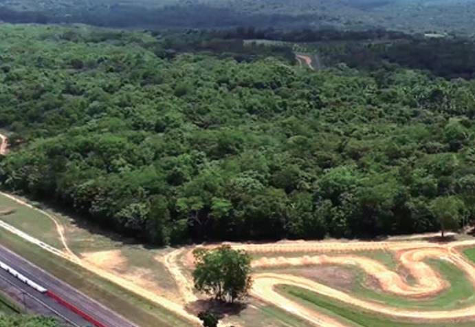Hondaブラジル生物多様性の保全