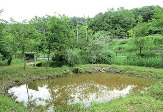 埼玉製作所 完成車工場