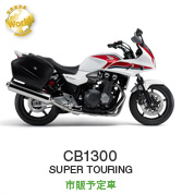 CB1300 SUPER TOURING s̗\