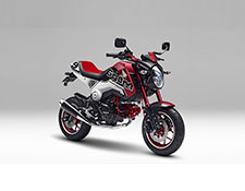 GROM Customized Concept