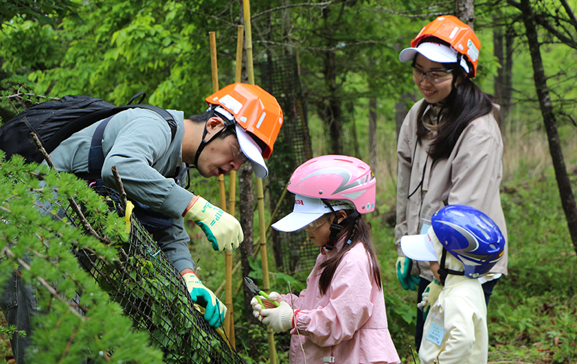富士山で環境と森を育てる大変さを学んで、苗木250本を植樹