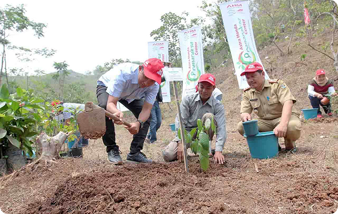 インドネシア：希少種の樹木を