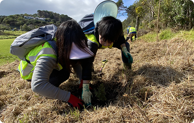 ニュージーランド：植林活動を実施