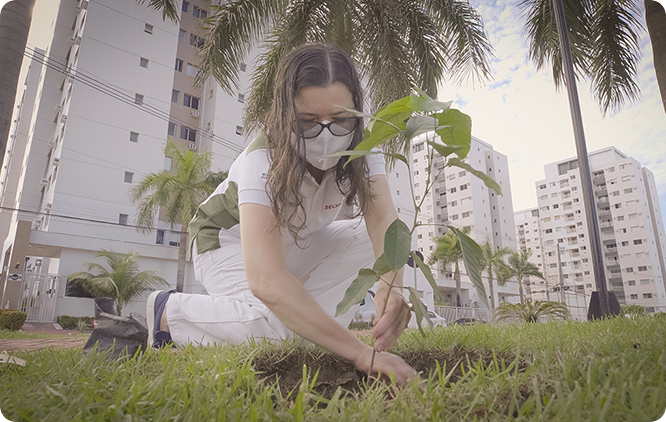 ブラジル：従業員による植樹活動を実施