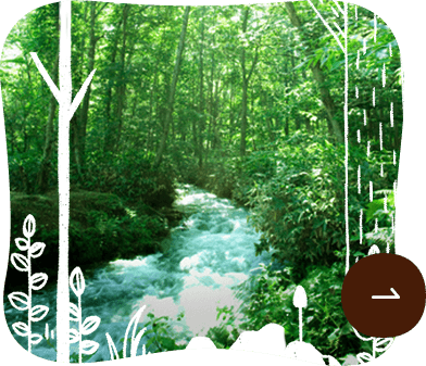 水源の森保全活動とは？