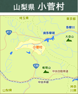 山梨県小菅村map
