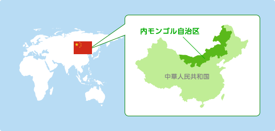 中国における植林活動