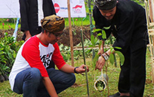 インドネシア 森林保全活動