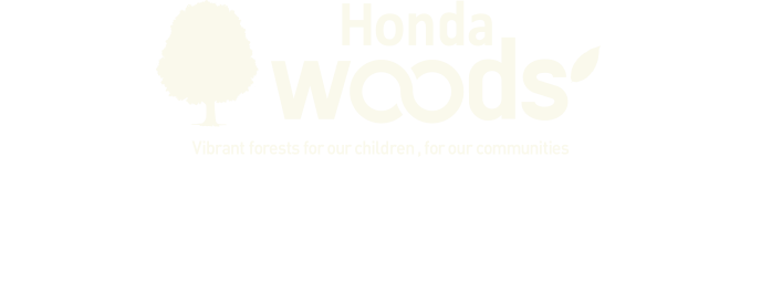 HondaWoods 元気な森を次世代のために、地球のために