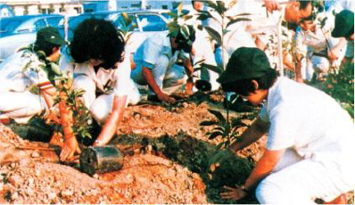 浜松製作所では新入社員が1本ずつ苗木を植えた