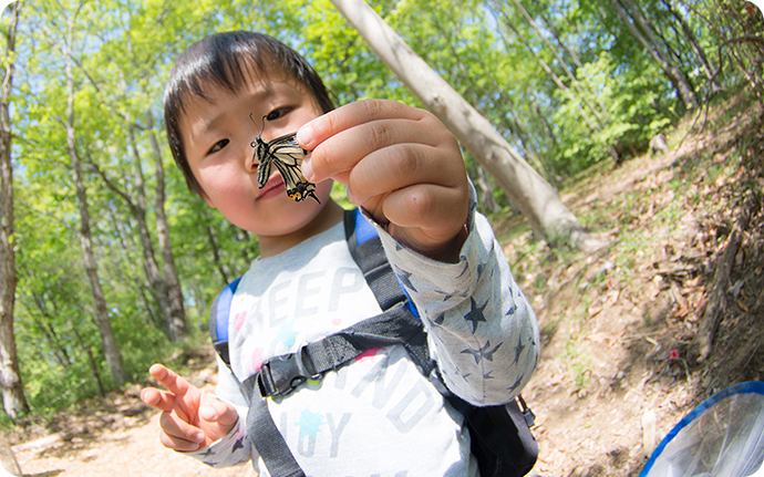 チョウやトンボなどの身近な昆虫観察から始めると、子どもたちの興味もわきます。
