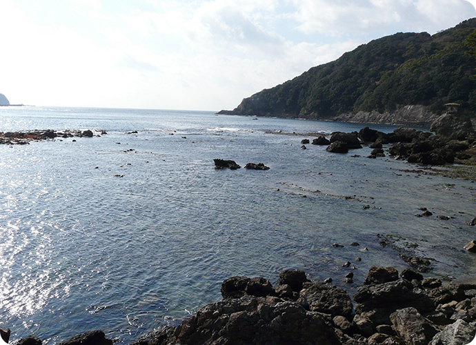 満潮時の磯の様子。海面が上昇して岩がほとんど水の中に沈んでいます