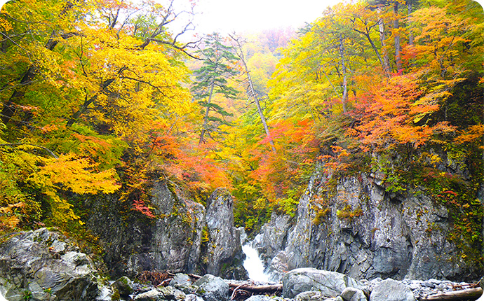 日本の里山の秋の見どころと言えば “紅葉”
