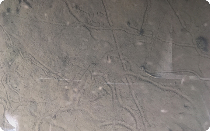 まるでアート!? 泥地で見られる何本もの抽象的な線は、カワニナが描いたもの。
