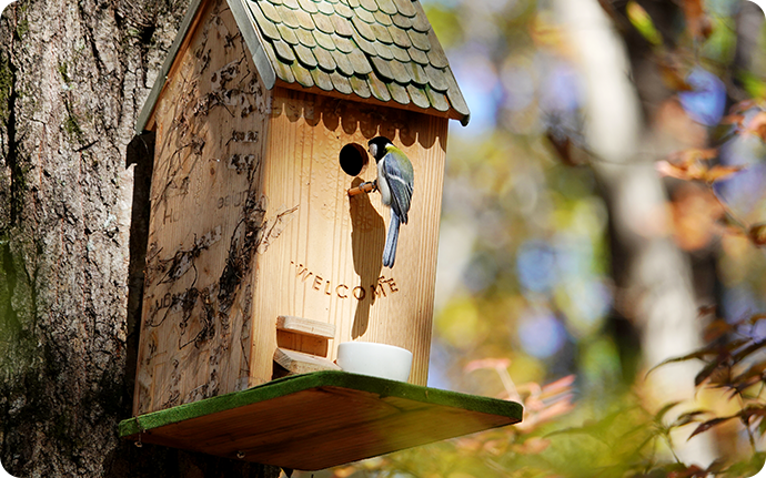 森の達人に学ぼう｜HondaWoods 元気な森を次世代のために、地域のために。