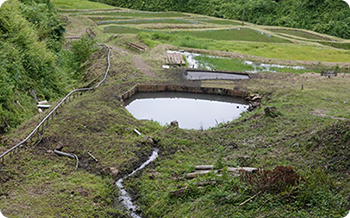 棚田の上部には山の水をためる溜池があり、ここから栄養たっぷりの水が田んぼに送られます。