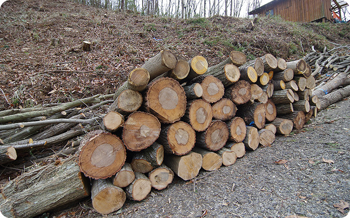 ハローウッズで伐採した木は、薪や炭として利用する。