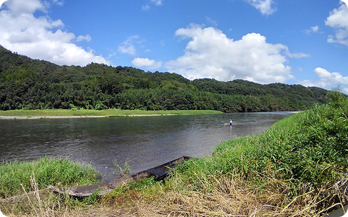 ハローウッズのキャンプやカヌー体験プログラムが行われる那珂川。