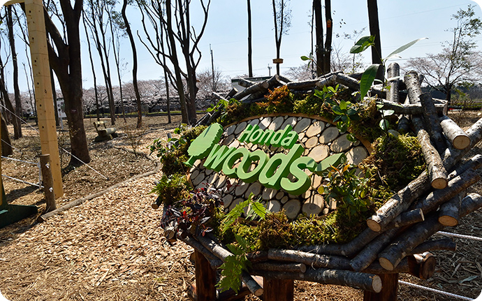 2014年にHondaWoodsの森づくりが始まった際、森の入り口に設置されたHondaWoodsのロゴマーク