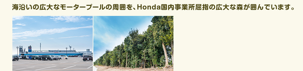 海沿いの広大なモータープールの周囲を、Honda国内事業所屈指の広大な森が囲んでいます。