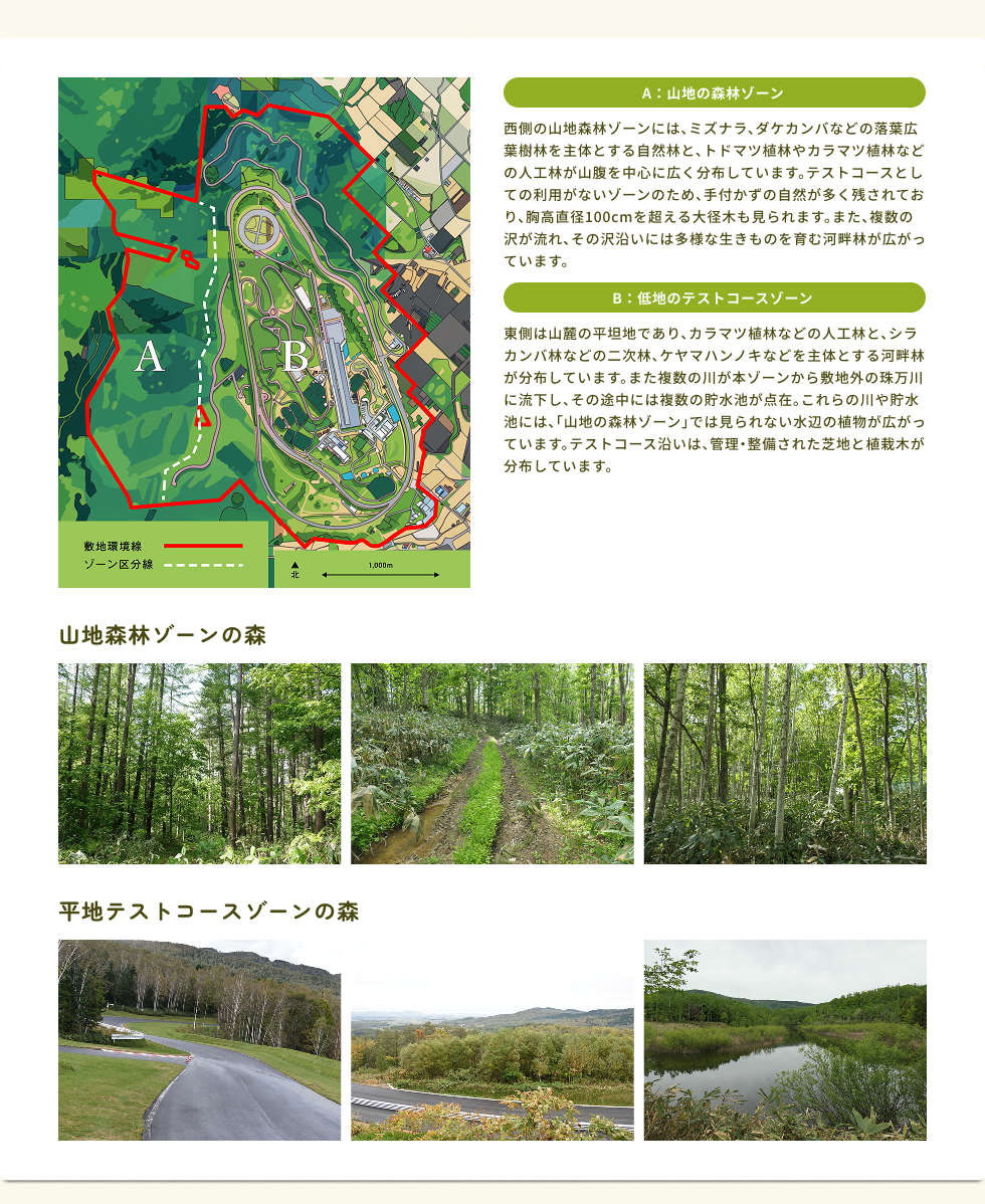 A：山地の森林ゾーン B：低地のテストコースゾーン