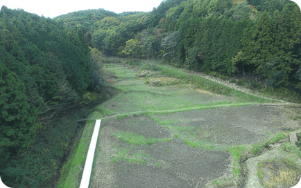 敷地内で確認された絶滅が危惧されている