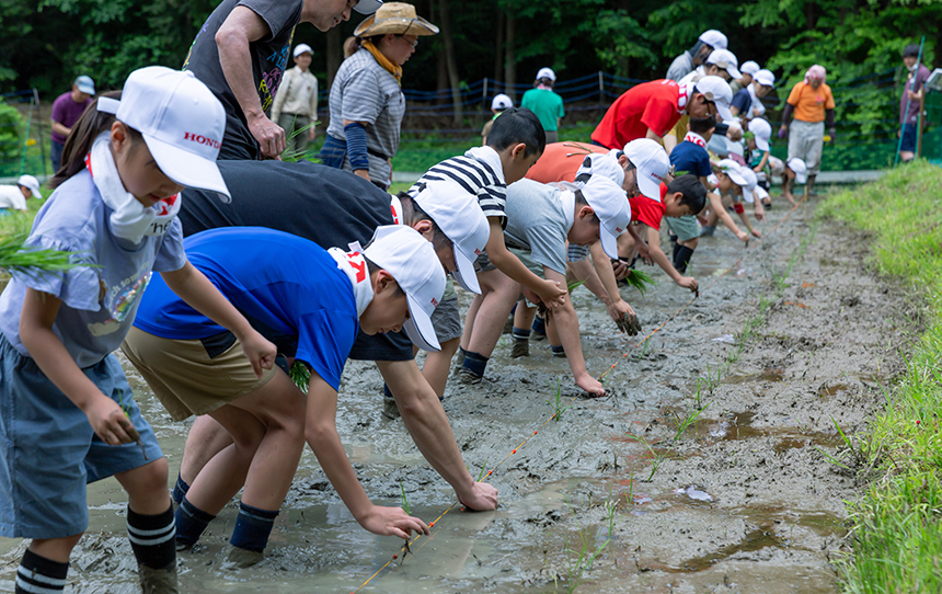 田植え後の鹿害対策のおかげで、実り豊かな秋を迎えました