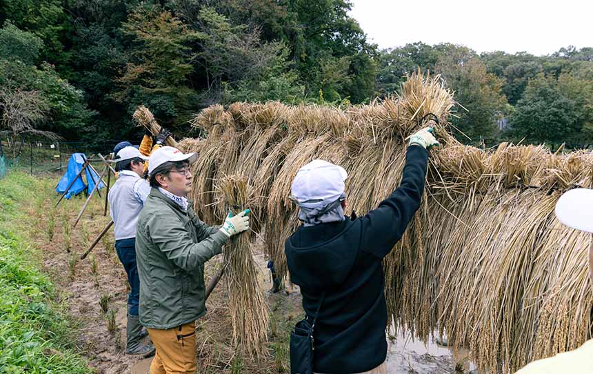 2025年最後の里山保全を実施