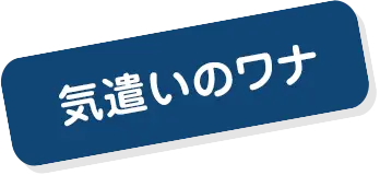 �C�����̃��i