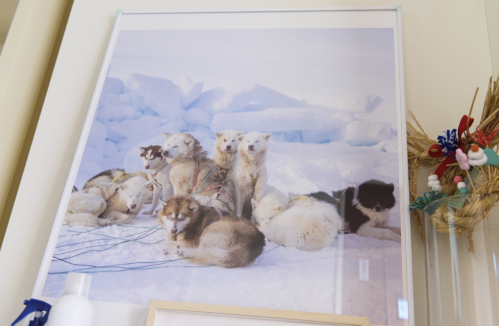 �����͒P�ƕ��s�A�ߔN�͌�����Ŗk�ɂ��s���p������B���s���錢��1�C����n�܂�A���ł͎ʐ^�̂悤�ȑ��������Ȃ̂��Ƃ����B